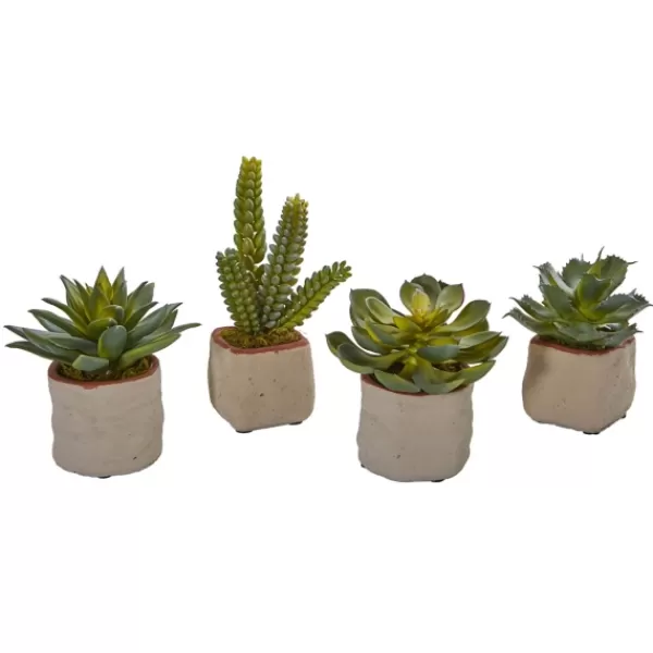 Arrangements & Greenery-Kirkland's Home Mixed Succulent Arrangements, Set Of 4 Green