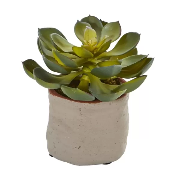 Arrangements & Greenery-Kirkland's Home Mixed Succulent Arrangements, Set Of 4 Green