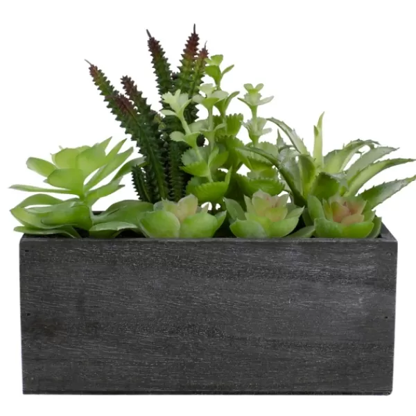 Arrangements & Greenery-Kirkland's Home Mixed Succulents In Black Wood Planter Box Green/Black