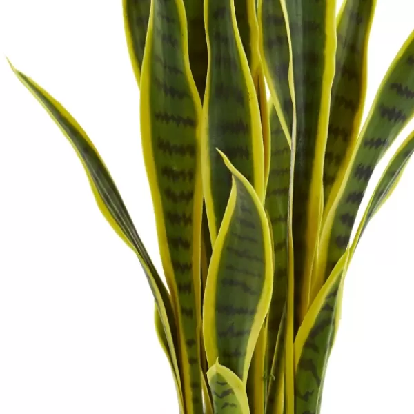 Arrangements & Greenery-Kirkland's Home Modern Potted Laurentii Snake Plant Green/Black