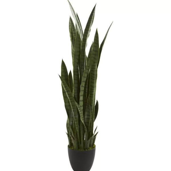 Arrangements & Greenery-Kirkland's Home Modern Potted Tri Snake Plant Green/Black