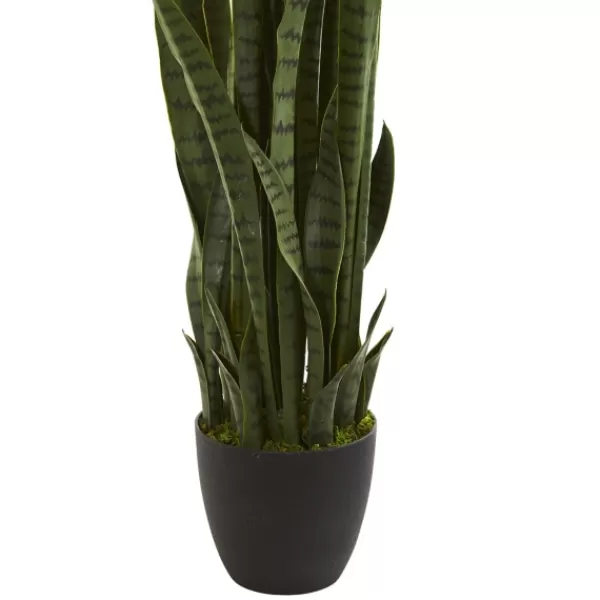 Arrangements & Greenery-Kirkland's Home Modern Potted Tri Snake Plant Green/Black