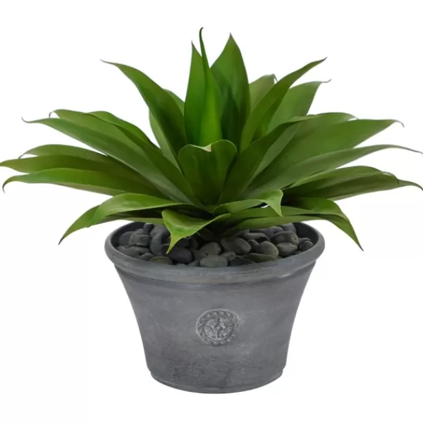 Arrangements & Greenery-Kirkland's Home Mojave Agave Succulent In Gray Planter Green/Brown