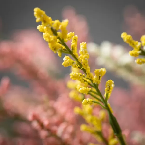 Stems & Bouquets-Kirkland's Home Multicolor Berry Bud Bundles, Set Of 3 Pink/Yellow/White/Green