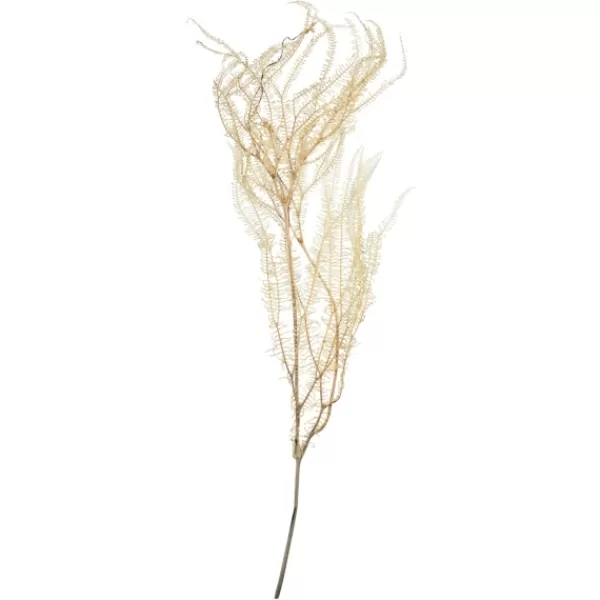 Stems & Bouquets-Kirkland's Home Natural Bleached Andares Fern Stems, Set Of 9 Ivory