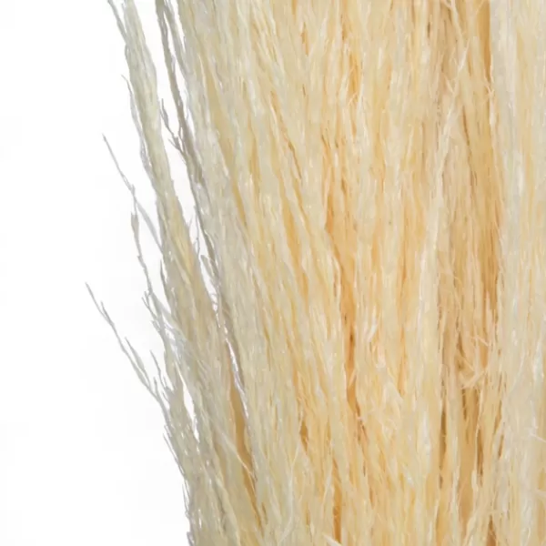 Stems & Bouquets-Kirkland's Home Natural Bleached Pampas Grass Stems, Set Of 6 Ivory