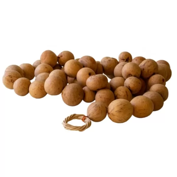 Decorative Accents-Kirkland's Home Natural Dried Gourd Garland Tan