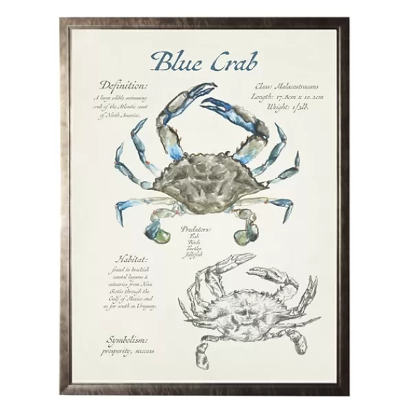 Framed Art-Kirkland's Home Nature Study Of A Blue Crab Framed Art Print Tan