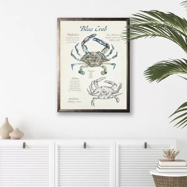 Framed Art-Kirkland's Home Nature Study Of A Blue Crab Framed Art Print Tan