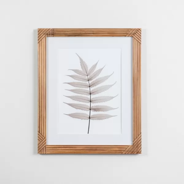 Framed Art-Kirkland's Home Neutral Fern Ii Framed Art Print Gray/White