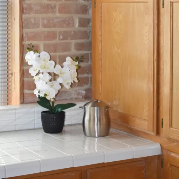 Arrangements & Greenery-Kirkland's Home Orchid Arrangement In Black Decorative Pot White/Black