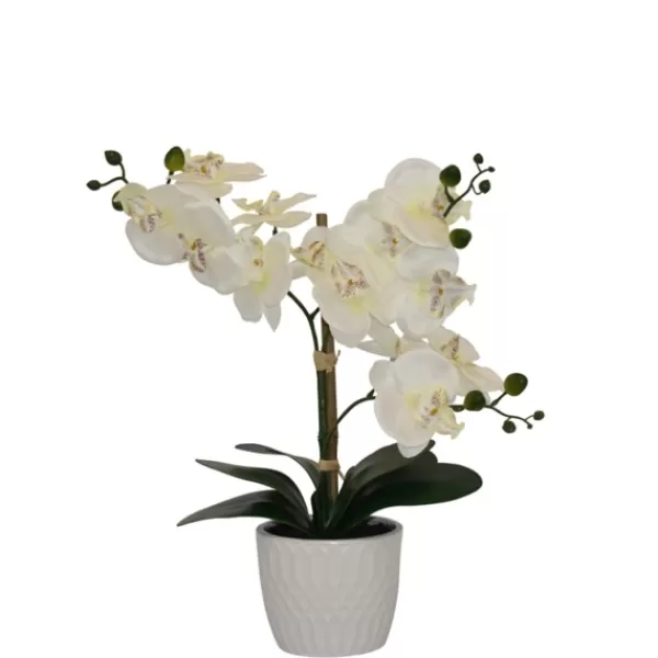 Arrangements & Greenery-Kirkland's Home Orchid Arrangement In Decorative Pot White