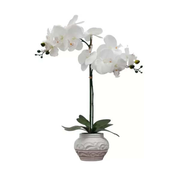 Arrangements & Greenery-Kirkland's Home Orchid Arrangement In Floral Planter White