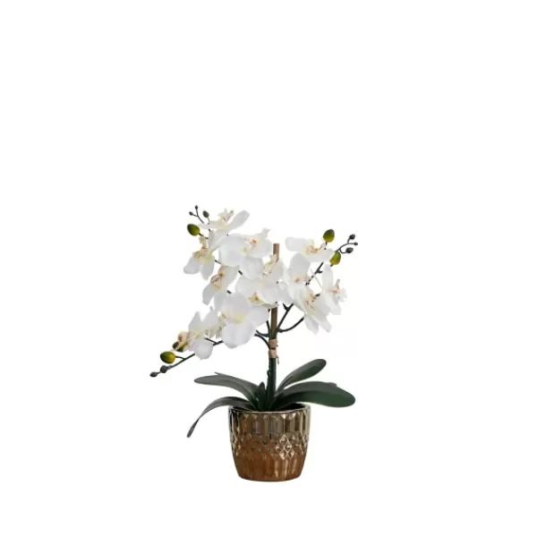 Arrangements & Greenery-Kirkland's Home Orchid Arrangement In Gold Decorative Pot White/Gold