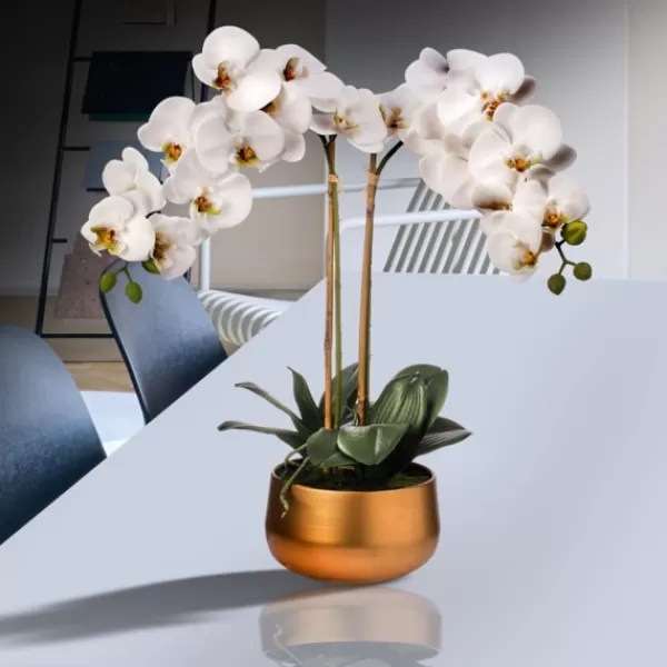 Arrangements & Greenery-Kirkland's Home Orchid Arrangement In Gold Pot, 22 In. White