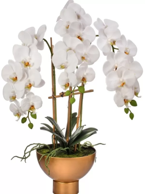 Arrangements & Greenery-Kirkland's Home Orchid Arrangement In Gold Pot, 25 In. White