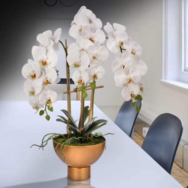 Arrangements & Greenery-Kirkland's Home Orchid Arrangement In Gold Pot, 25 In. White