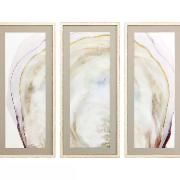 Framed Art-Kirkland's Home Oyster Shell 3-Pc. Framed Wall Art Set Tan/Gray/White