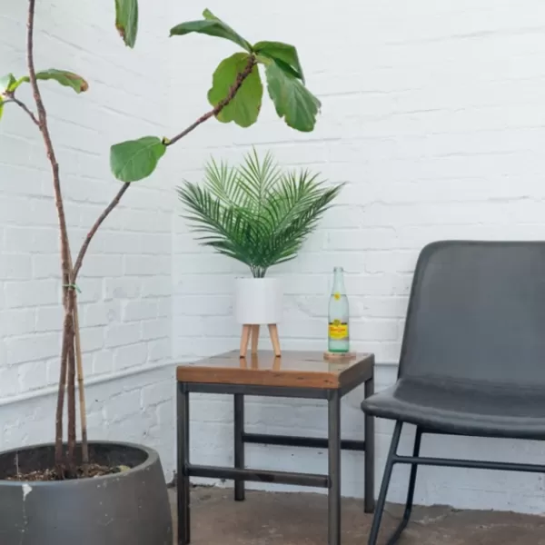 Arrangements & Greenery-Kirkland's Home Palm Arrangement In White Footed Pot Green/White