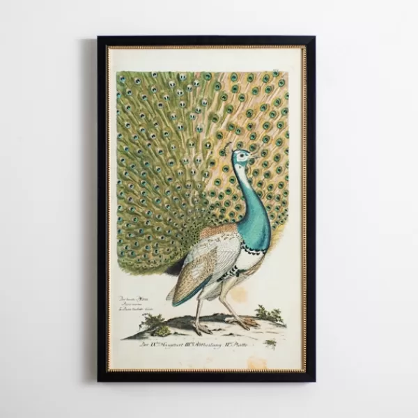 Framed Art-Kirkland's Home Peacock Framed Wall Art Blue/Green/Tan