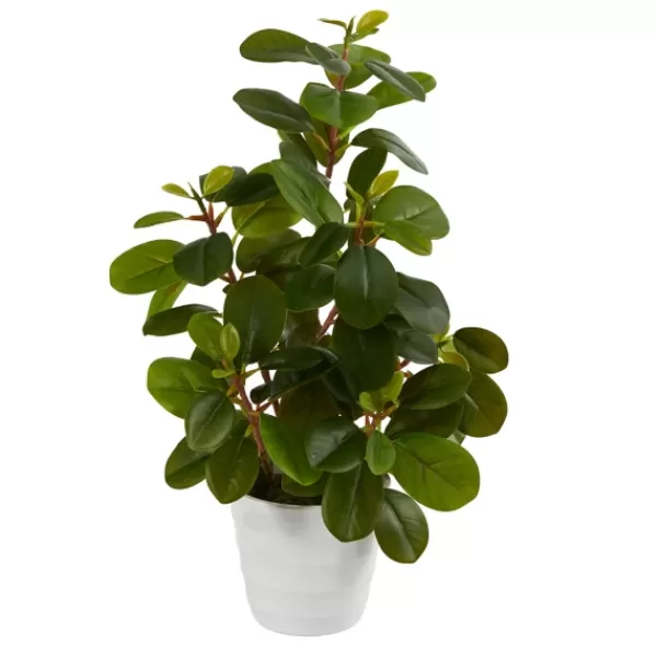 Arrangements & Greenery-Kirkland's Home Peperomia Arrangement In White Planter Green/White