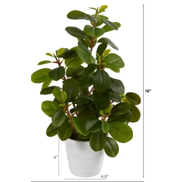 Arrangements & Greenery-Kirkland's Home Peperomia Arrangement In White Planter Green/White