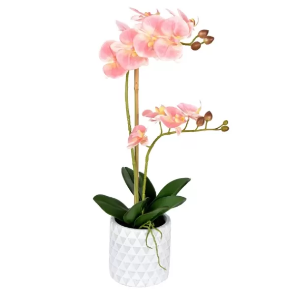 Arrangements & Greenery-Kirkland's Home Pink Orchid Real Touch Arrangement In Ceramic Pot Green/White/Pink