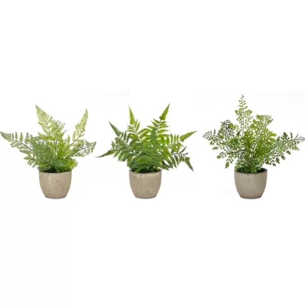 Arrangements & Greenery-Kirkland's Home Potted Fern Arrangements, Set Of 3 Green/Gray