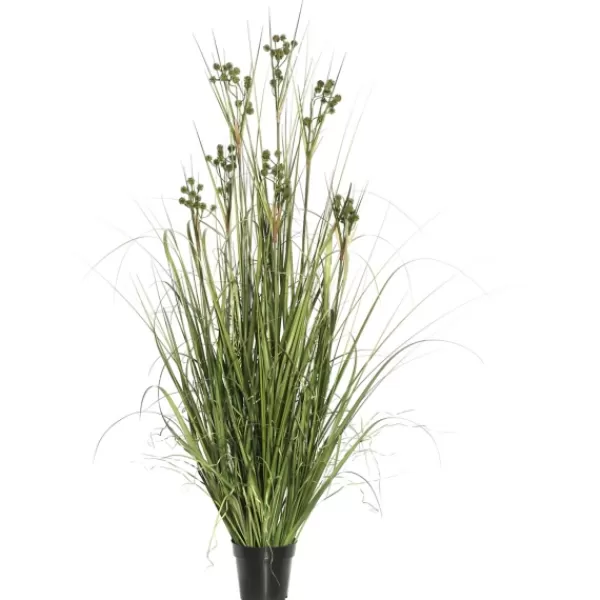 Arrangements & Greenery-Kirkland's Home Potted Grass With Pomp Balls Green