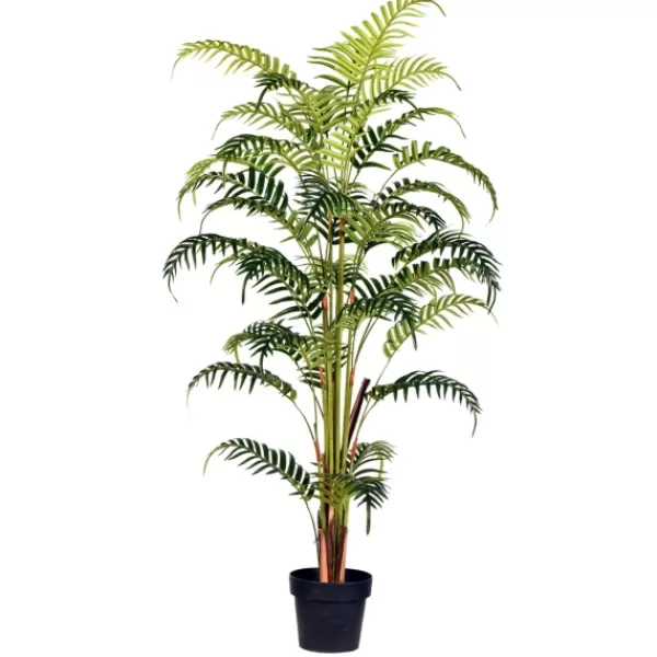 Arrangements & Greenery-Kirkland's Home Potted Large Leaf Fern Palm Plant, 59 In. Green