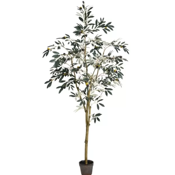 Trees & Topiaries-Kirkland's Home Potted Olive Branch Tree, 6 Ft.