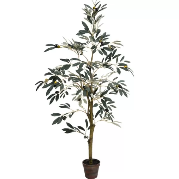 Trees & Topiaries-Kirkland's Home Potted Olive Tree, 4 Ft.