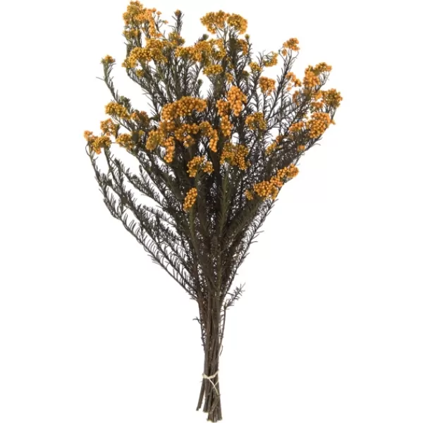 Stems & Bouquets-Kirkland's Home Preserved Aspen Rice Flower Bundle Gold