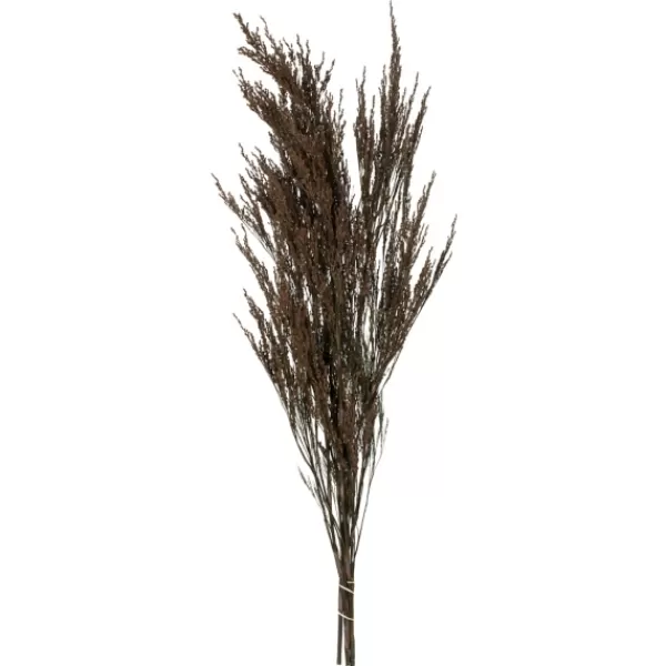 Stems & Bouquets-Kirkland's Home Preserved Green Reed Grass Bundle Brown