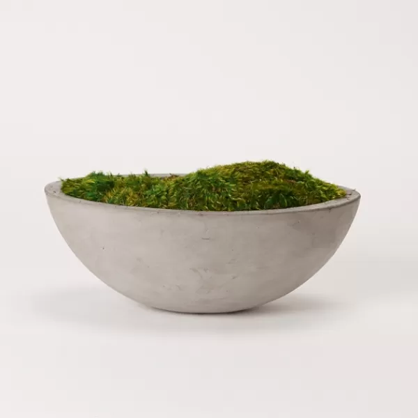 Arrangements & Greenery-Kirkland's Home Preserved Mood Moss In Oval Concrete Bowl Green/Gray