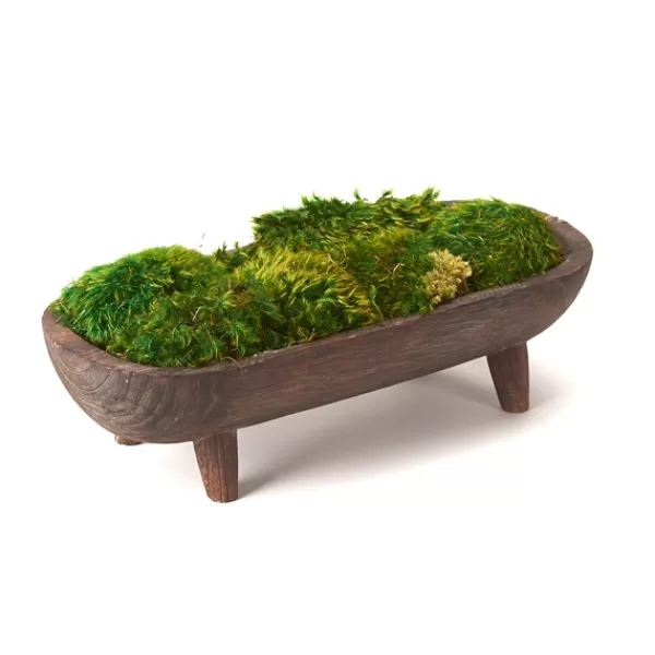 Arrangements & Greenery-Kirkland's Home Preserved Mood Moss In Wooden Bowl With Legs Green/Brown