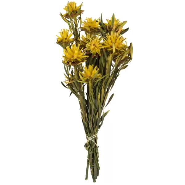 Stems & Bouquets-Kirkland's Home Preserved Plumosum Flower Bundle Yellow