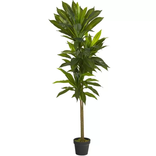 Trees & Topiaries-Kirkland's Home Real Touch Dracaena Tree In Black Planter