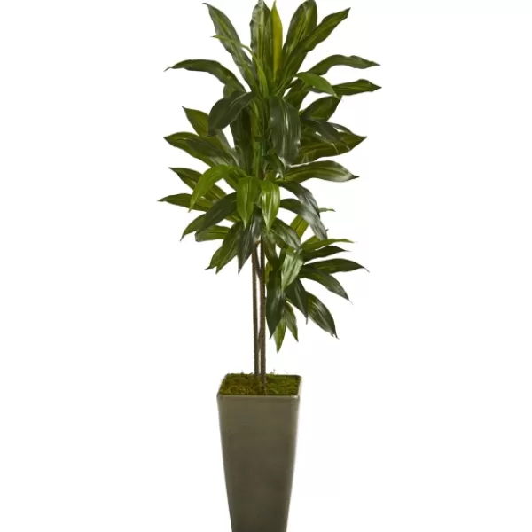 Trees & Topiaries-Kirkland's Home Real Touch Dracaena Tree In Green Planter, 4.5 Ft.