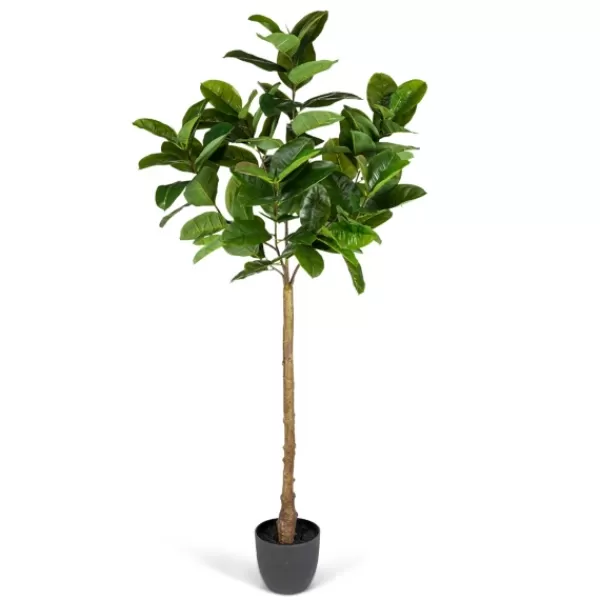 Trees & Topiaries-Kirkland's Home Real Touch Rubber Tree In Black Pot, 6 Ft.