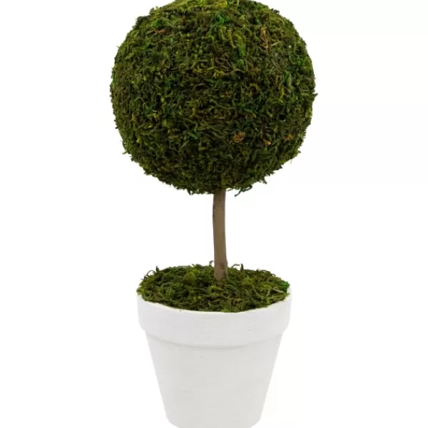 Trees & Topiaries-Kirkland's Home Reindeer Moss Ball Topiary In White Planter