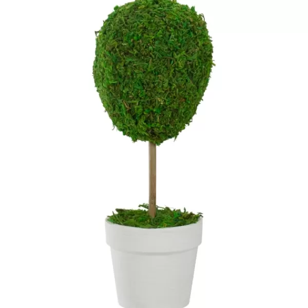 Trees & Topiaries-Kirkland's Home Reindeer Moss Ball Topiary In White Pot