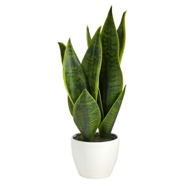 Arrangements & Greenery-Kirkland's Home Sansevieria Arrangement In White Planter Gray/White