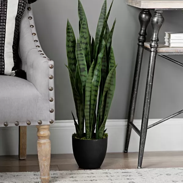 Trees & Topiaries-Kirkland's Home Sansevieria Floor Plant In Black Planter