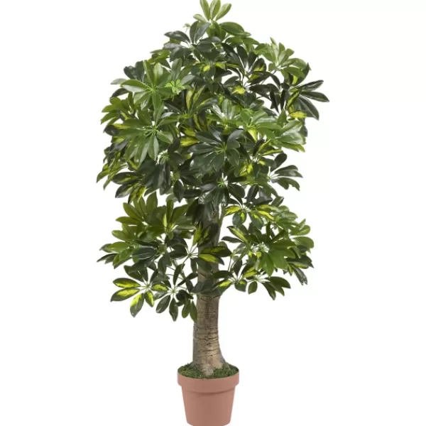 Trees & Topiaries-Kirkland's Home Schefflera Tree In Terra Cotta Planter, 4 Ft.