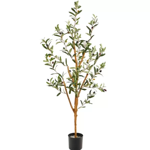 Trees & Topiaries-Kirkland's Home Slender Olive Branch Tree In Nursery Planter