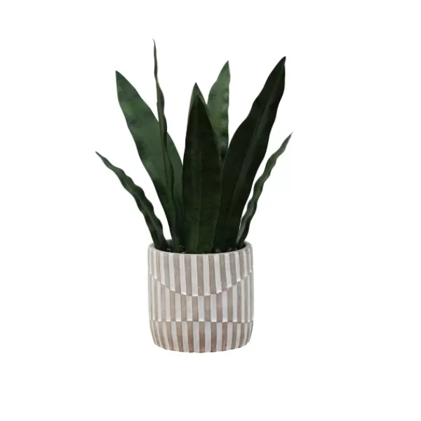 Arrangements & Greenery-Kirkland's Home Snake Plant In Striped Pot Green