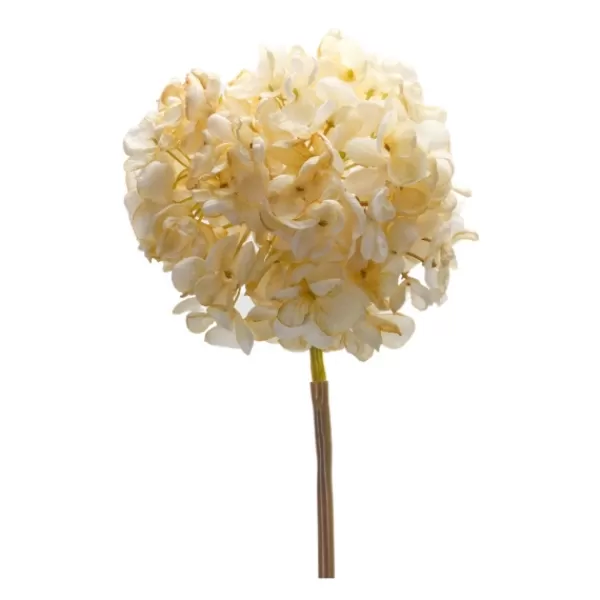 Stems & Bouquets-Kirkland's Home Soft Cream Hydrangea Stems, Set Of 6 Ivory