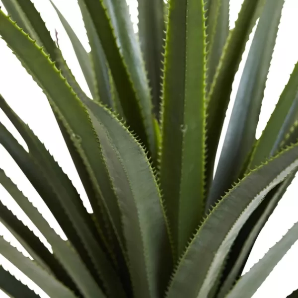 Arrangements & Greenery-Kirkland's Home Spiked Agave Plant In Nursery Planter Green/Black