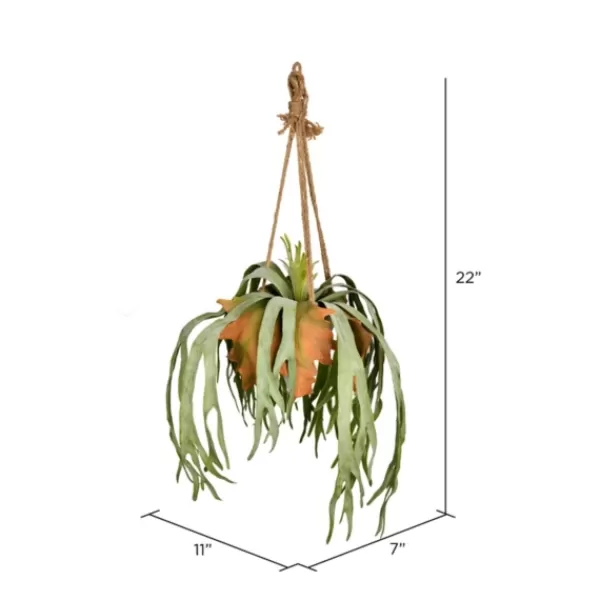Arrangements & Greenery-Kirkland's Home Staghorn Fern In Hanging Cone Planter Green/Orange